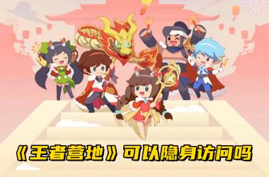 《王者营地》可以隐身访问吗