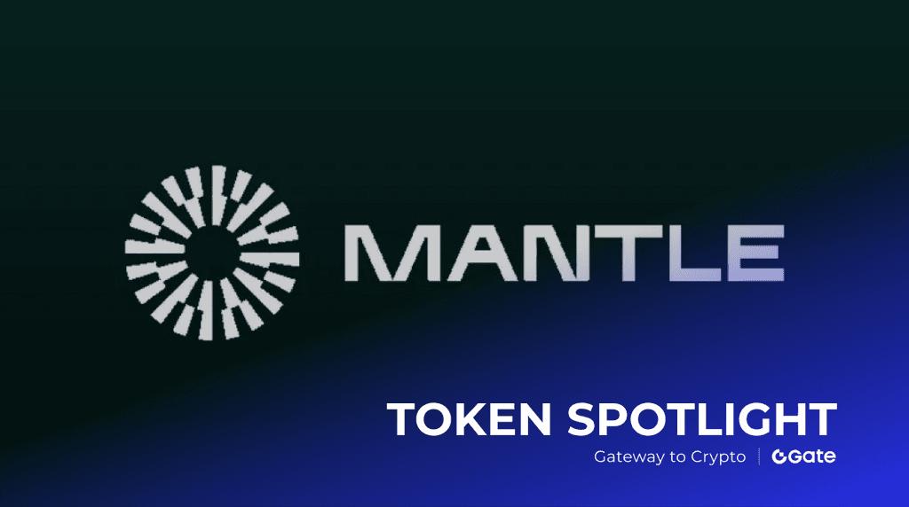 Mantle MNT 最新价格解析：Web 3.0 金融新星的投资价值