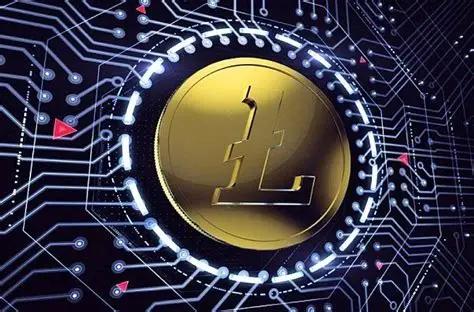 LTC的隐私性如何？它保护用户数据吗？