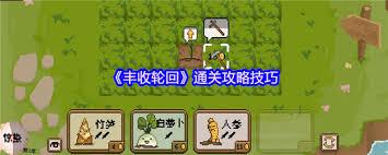 丰收轮回怎么通关