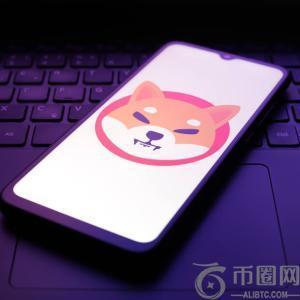 Shiba Inu 的 Shibarium 桥遭遇黑客攻击，BONE 代币暴涨 42%