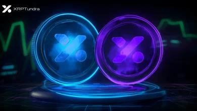 加密货币新闻 XRP：Tundra 预售将 Solana 和 XRPL 代币整合到一个包中