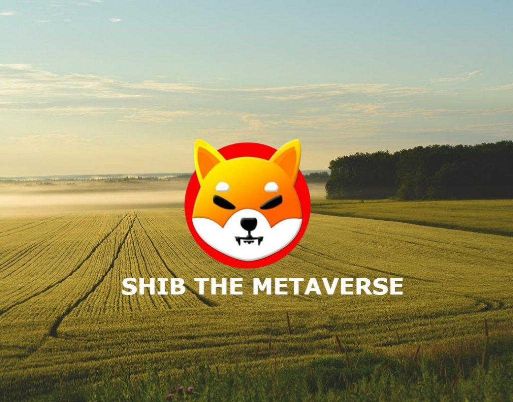 Shiba Inu SHIB The verse