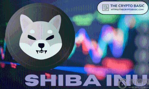 为什么柴犬对150万饲养者来说是一个高风险的赌注