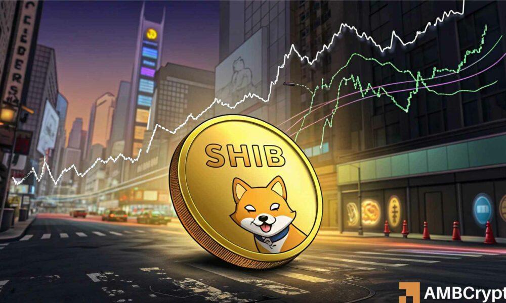 柴犬巩固——牛市还是熊市，谁将赢得这一轮？
