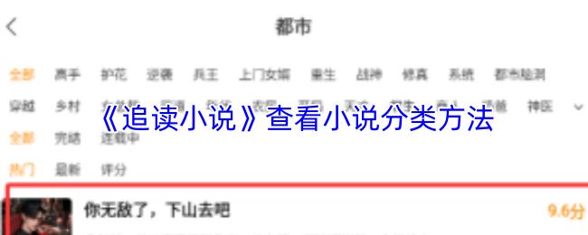 追读小说 查看小说分类方法