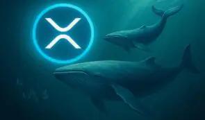 今日 XRP 新闻：来自#1 加密货币专家的瑞波币价格预测：XRP 能否达到 100 美元
