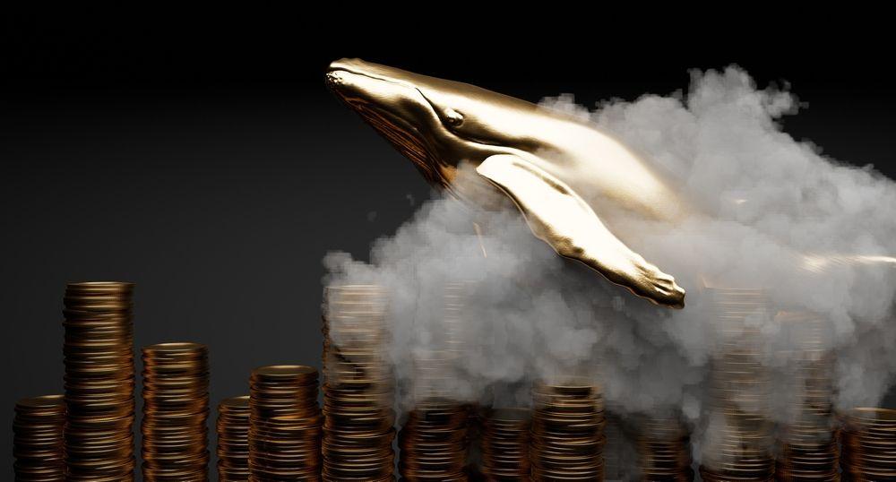 从未见过鲸鱼疯狂购买 XRP——XRP 账本有望迎来 300 亿美元的风险加权资产激增