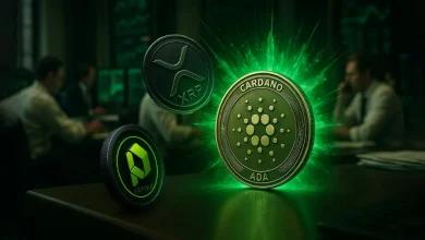如果 XRP、Cardano 和 Paydax 本月达到 10 美元，你的 10,000 美元将是多少