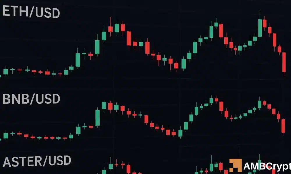 加密货币巨鲸在十月大举押注——这就是他们正在购买的东西！