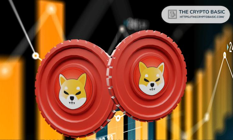 这就是为什么柴犬可能永远无法再次达到其历史最高纪录