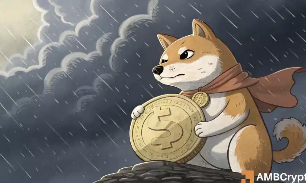 狗狗币下跌，信念依然坚定——LTH 即将获得奖励吗