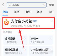 支付宝小荷包自动攒的钱存放在哪