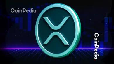 Ripple 新闻：David Schwartz 加入 Evernorth 担任顾问，推动 XRP 价值 10 亿美元发展
