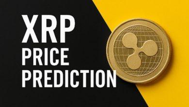 2025年11月XRP价格展望：市场情绪转为看跌，但数据显示瑞波币的涨势远未结束