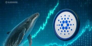 ADA鲸鱼交易活跃表明市场信心增强——Cardano是否准备强势回归