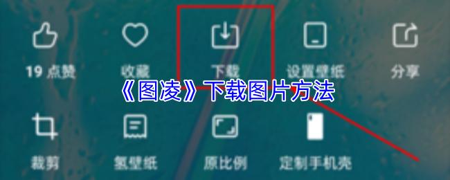 图凌 下载图片方法