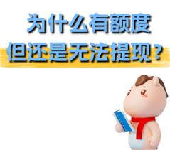安逸花有额度综合评分不足怎么办