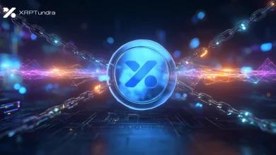 当你看到 XRP Tundra 刚刚构建的东西时，Solana 区块链的速度优势就消失了。