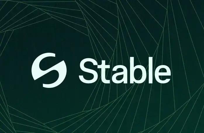 80%是炒作 六大红线看Stable真实意图