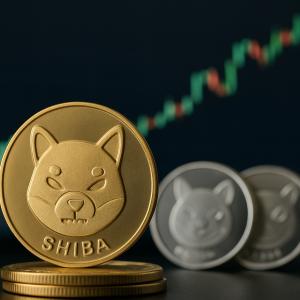 柴犬势头强劲：柴犬可能再次崛起的三个原因