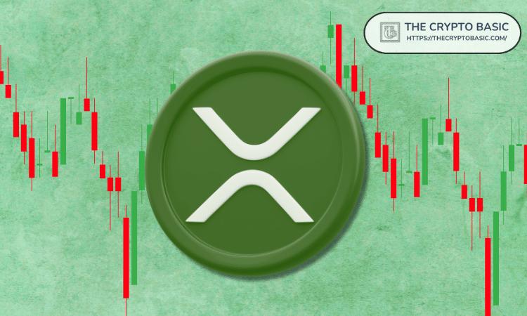 分析师警告XRP持有者，称只有少数人能套现，大多数人将蒙受损失。