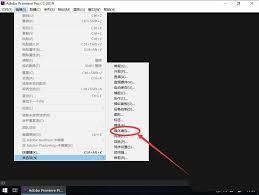 Premiere Pro怎样清理缓存