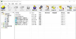 如何将IDM下载器设置为中文