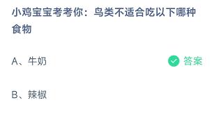 小鸡宝宝考考你鸟类不适合吃哪种食物