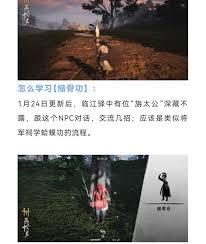 燕云十六声奇术缩骨功获取方法
