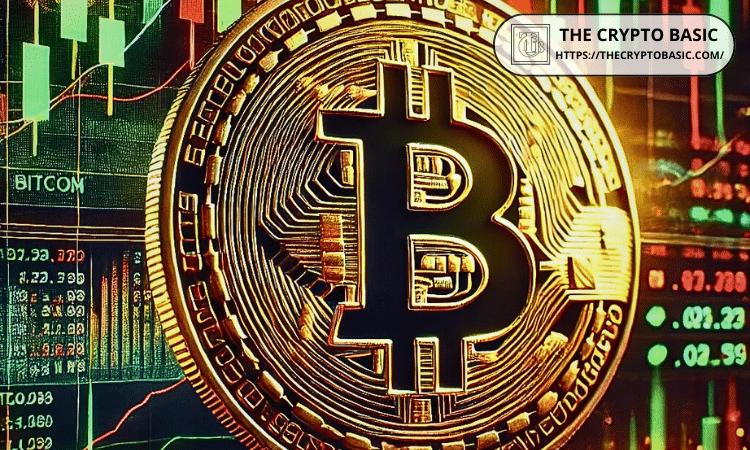 赵长鹏认为2026年是比特币超级周期的开始