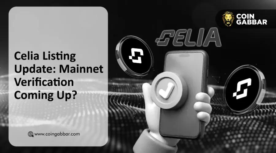 主网验证逐步推出：为什么 Celia 上线日期缺失