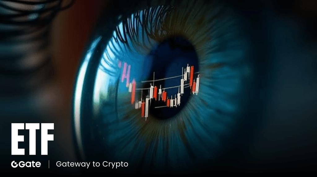 Gate ETF 适合哪些人 新手友好型杠杆与进阶交易者画像全解析
