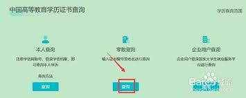如何查询零散学历信息