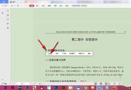 WPS如何查看字体样式