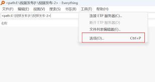 Everything如何添加排除文件夹