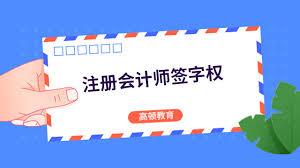 哪种职业执业人员有审计签字权