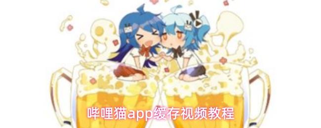 哔哩猫app缓存视频教程