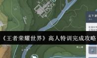 王者荣耀世界 高人特训完成攻略