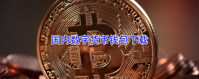国内数字货币钱包下载