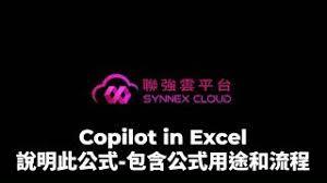 Copilot如何解释公式