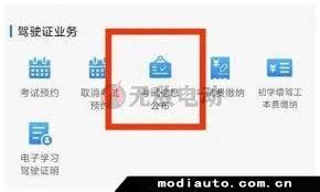 交管12123如何查询成绩