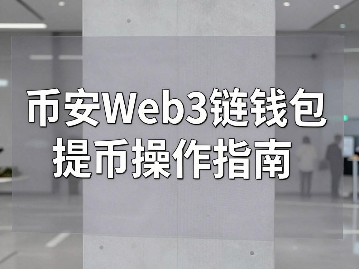 币安Web3链钱包提币操作指南