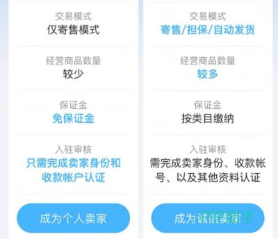 卖咸鱼之王账号去哪个平台