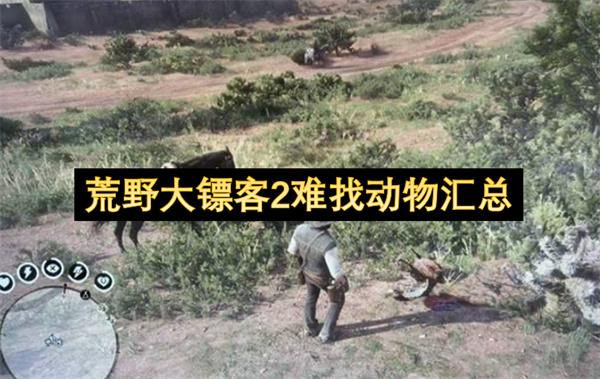 荒野大镖客2难找动物汇总