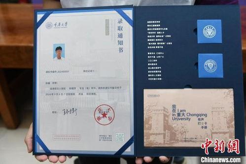 江苏省职教高考录取通知书怎么查询