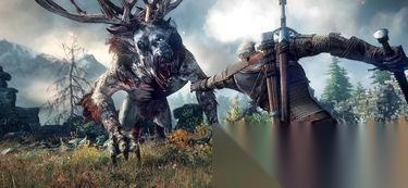 巫师3狂猎武器图鉴怎么获取