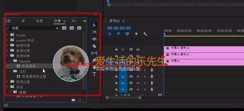 pr视频字体如何添加特效