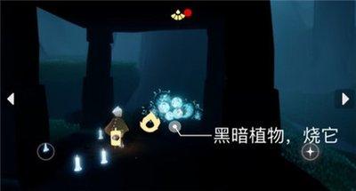 光遇1.10日常任务怎么做