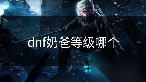 dnf奶爸等级哪个